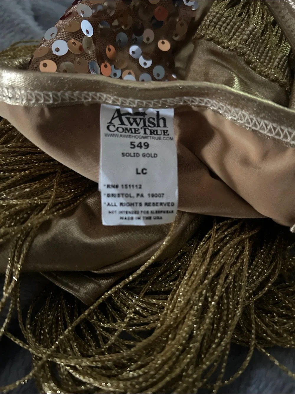 Wish Gold Sequin Fringe Dance Costume